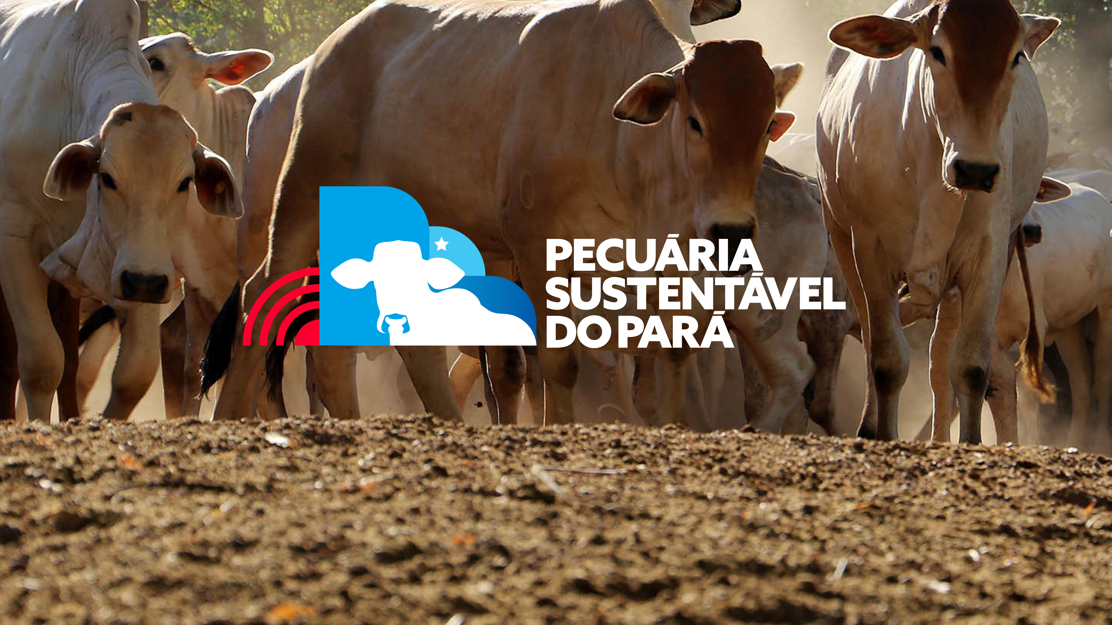 Programa Pecuária Sustentável